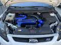 Ford Focus Focus II 2008 3p 2.5t RS White edition (rs) 305cv Wit - thumbnail 10