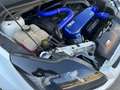 Ford Focus Focus II 2008 3p 2.5t RS White edition (rs) 305cv Wit - thumbnail 11