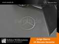 Mercedes-Benz C 220 d AMG/LED/AHK/Fahrass+/Spiegel-P/RfCam/EDW Grau - thumbnail 3
