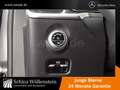 Mercedes-Benz C 220 d AMG/LED/AHK/Fahrass+/Spiegel-P/RfCam/EDW Grau - thumbnail 8