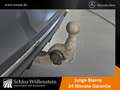 Mercedes-Benz C 220 d AMG/LED/AHK/Fahrass+/Spiegel-P/RfCam/EDW Grau - thumbnail 21