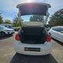 Volkswagen Polo 1.2 70cv Advance BlueMotion Technology Blanco - thumbnail 7