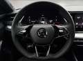 Skoda Octavia Combi 2,0 TDI Ambition DSG Grau - thumbnail 21