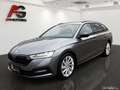 Skoda Octavia Combi 2,0 TDI Ambition DSG Grau - thumbnail 1