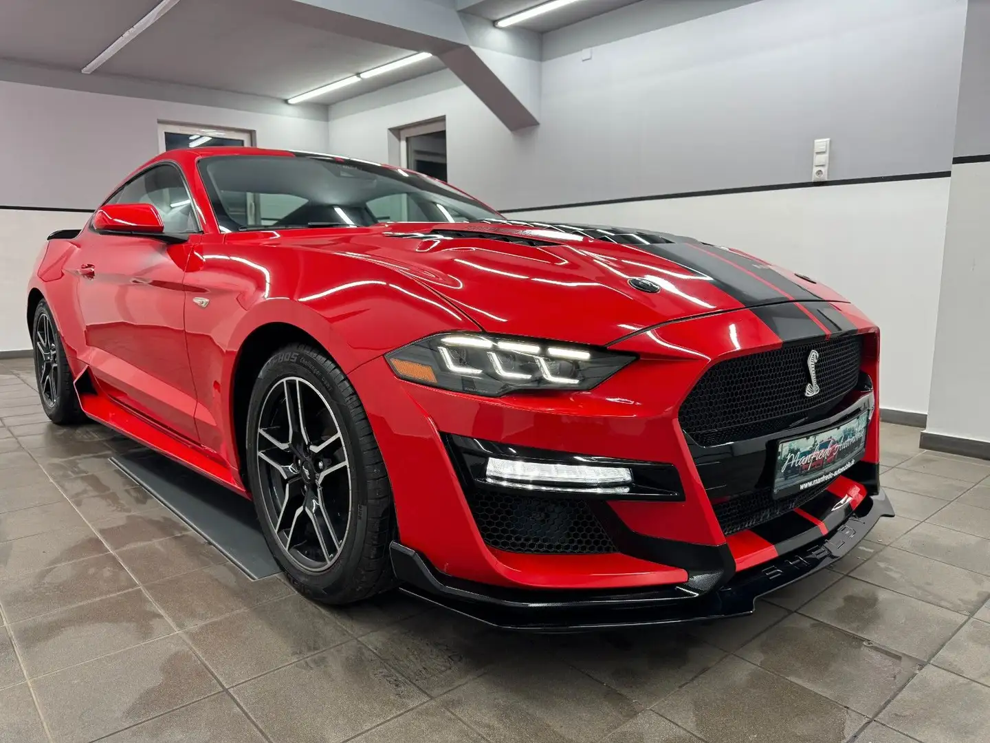 Ford Mustang 2.3 Eco Shelby GT-500/Race-Red/DuplexAGA Rojo - 2