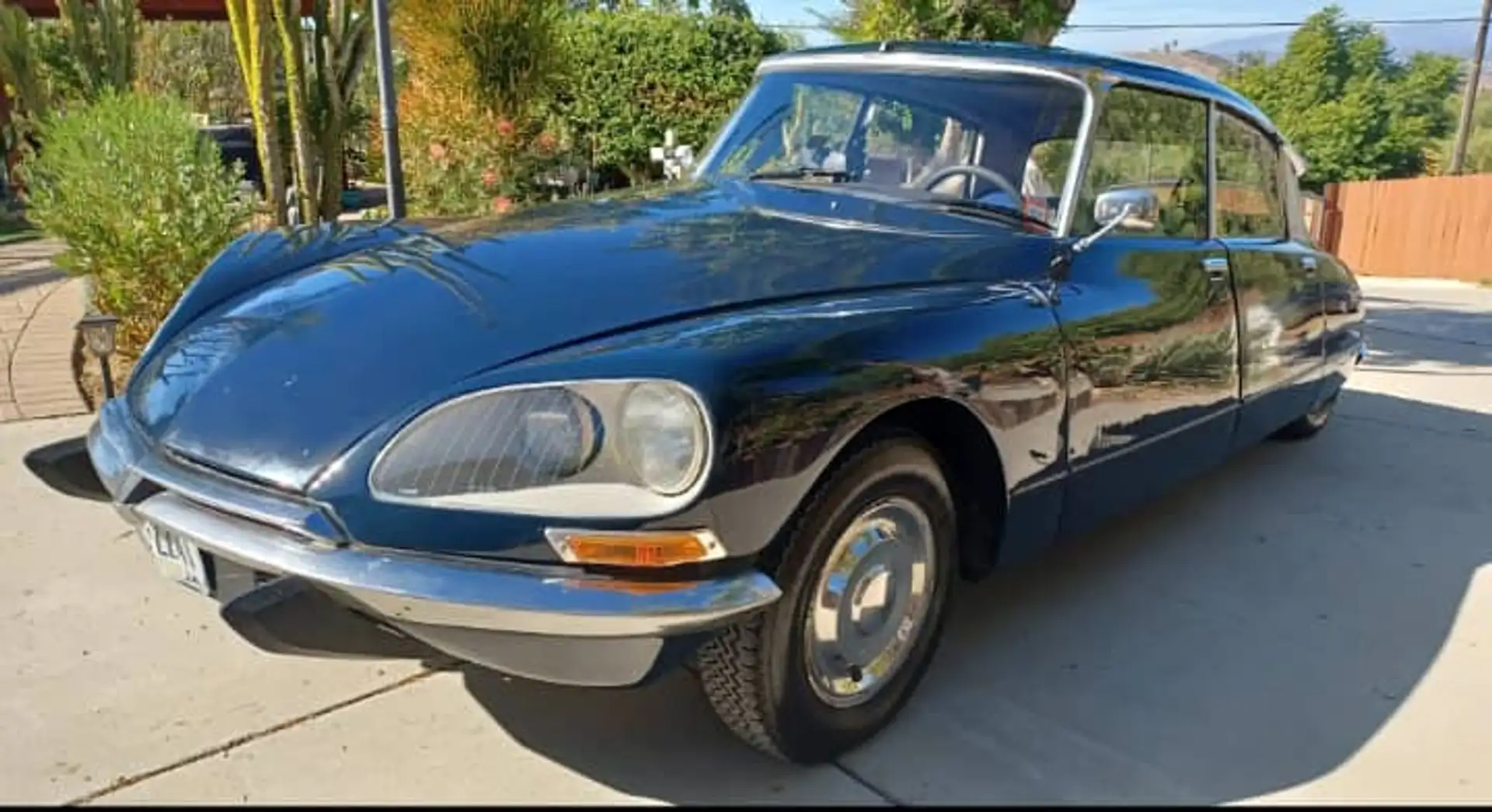 Citroen DS Bleu - 1