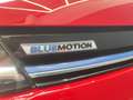Volkswagen Golf 1.5 TSI Evo BM Last Edition 96kW Rojo - thumbnail 22