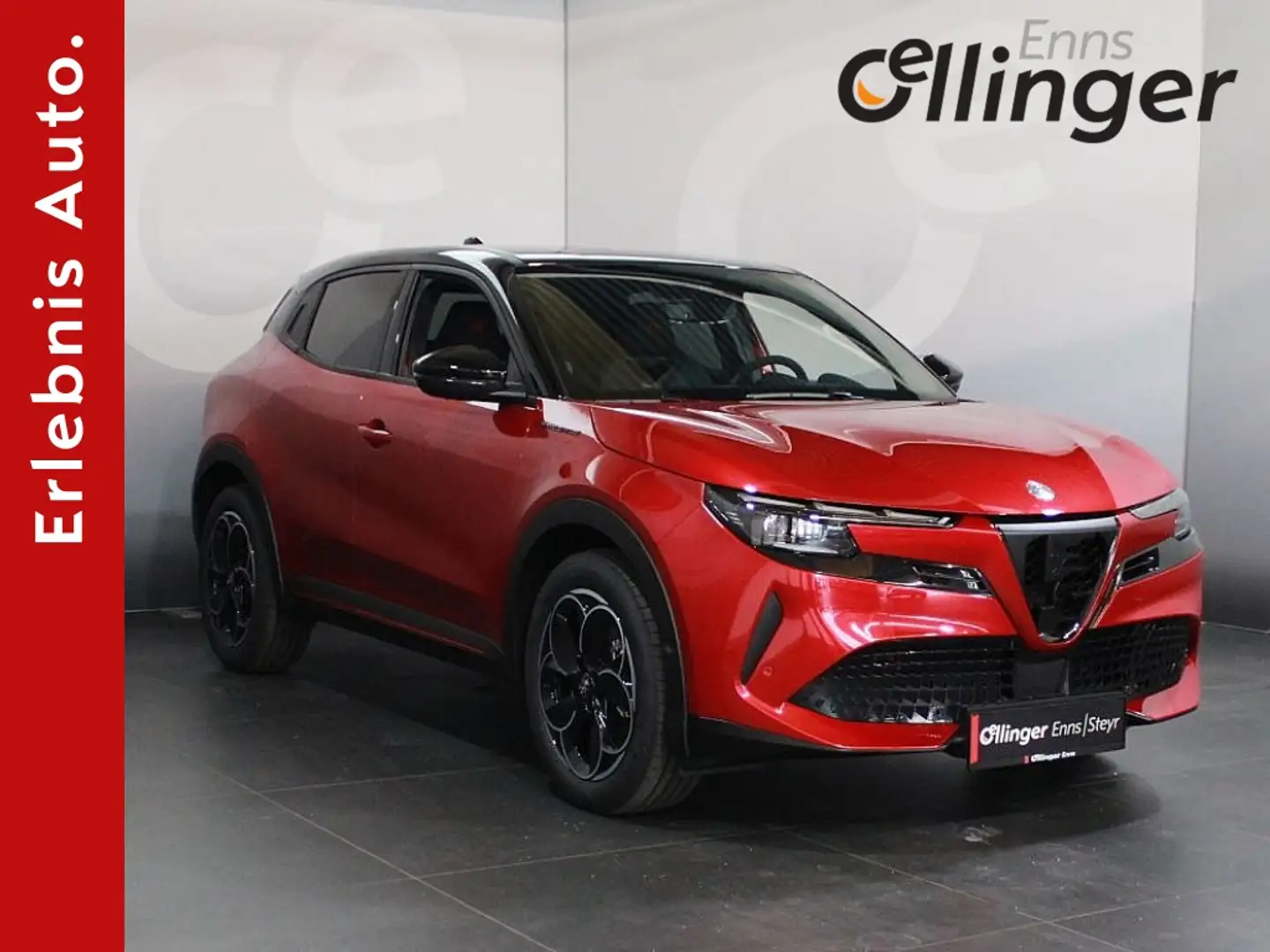 Alfa Romeo Junior Speciale Rood - 1