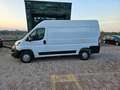 Peugeot Boxer 333 2.2 BlueHDi 140 S&S PM-TM Furgone Blanc - thumbnail 19