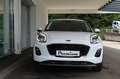 Ford Puma TITANIUM 125 PS Ecoboost/Benzin Mild-Hybrid (PR... Weiß - thumbnail 2