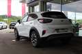 Ford Puma TITANIUM 125 PS Ecoboost/Benzin Mild-Hybrid (PR... Weiß - thumbnail 4