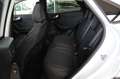 Ford Puma TITANIUM 125 PS Ecoboost/Benzin Mild-Hybrid (PR... Weiß - thumbnail 7