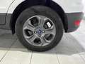 Ford EcoSport 1.0 EcoBoost Trend 100 Blanco - thumbnail 36
