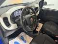 Fiat Panda 4x2 FireFly Hybrid 70 Pandina Blau - thumbnail 8