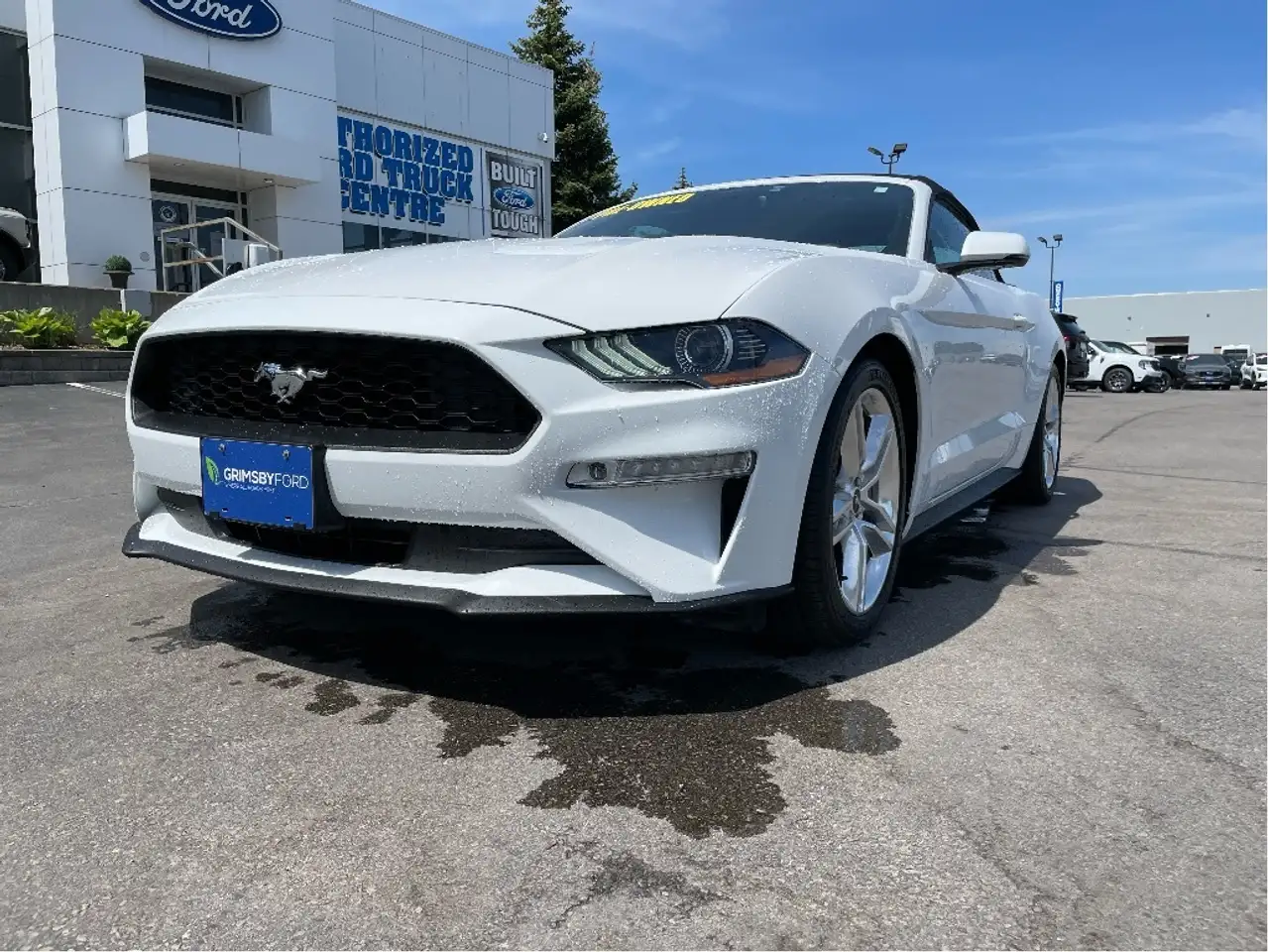 Ford Mustang снимка Ford Mustang
