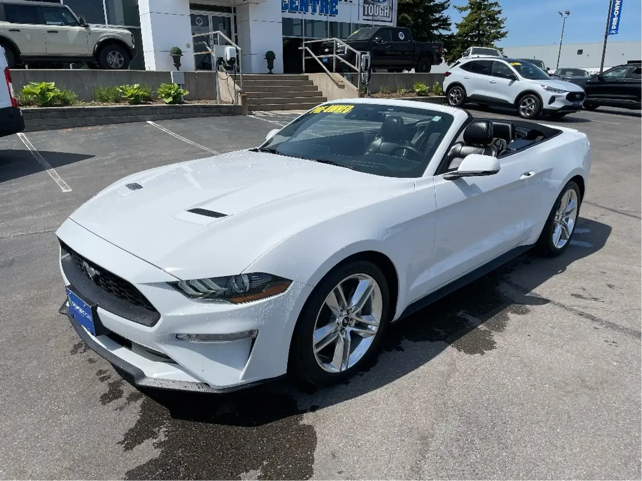 Ford Mustang снимка Ford Mustang