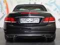 Mercedes-Benz E 220 CDI Aut. *LEDER, LED, NAVI, SITZHEIZUNG* Schwarz - thumbnail 23