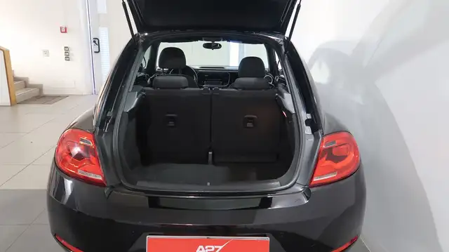 Volkswagen Beetle view 15
