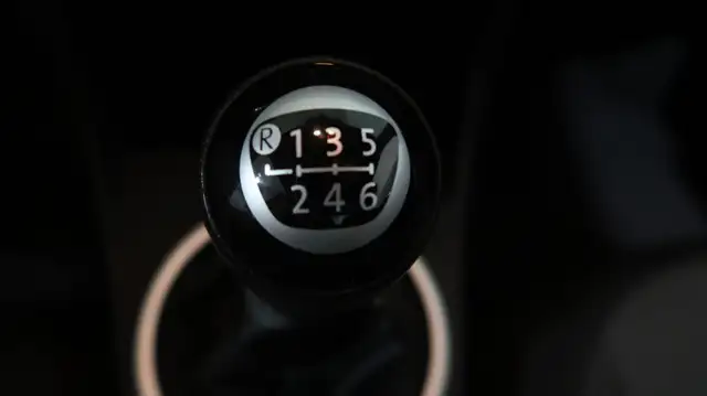 Volkswagen Beetle view 21