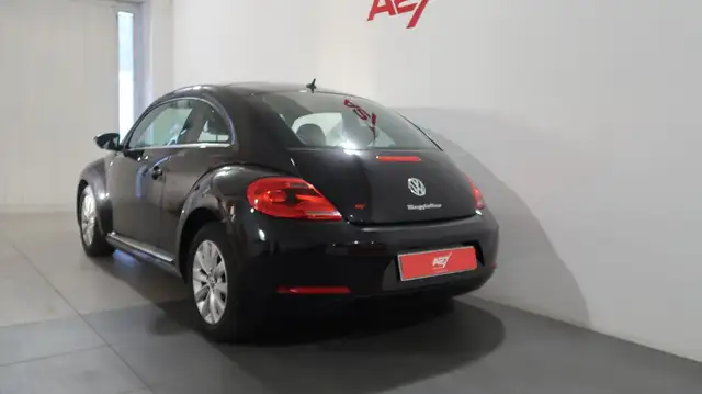 Volkswagen Beetle view 5