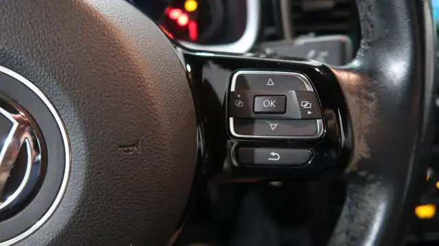 Volkswagen Beetle view 20