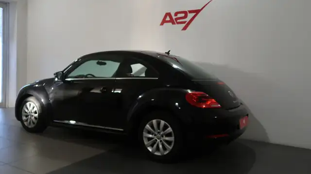 Volkswagen Beetle view 11