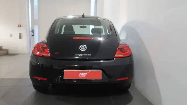 Volkswagen Beetle view 13