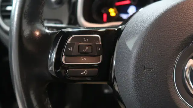 Volkswagen Beetle view 19