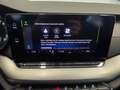Skoda Octavia Ambition TDI Schwarz - thumbnail 7
