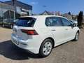 Volkswagen Golf VIII Lim. 1.5 TSI 85kW Life 5J.Garantie Klima Weiß - thumbnail 5