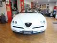 Alfa Romeo Spider Spider V6 3.0 12v Lusso 98000 km ASI CON CRS White - thumbnail 2