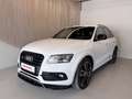 Audi SQ5 plus 3,0 TDI quattro Tiptr Weiß - thumbnail 4