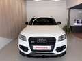 Audi SQ5 plus 3,0 TDI quattro Tiptr Weiß - thumbnail 2