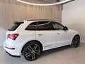 Audi SQ5 plus 3,0 TDI quattro Tiptr Weiß - thumbnail 7