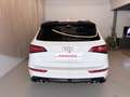 Audi SQ5 plus 3,0 TDI quattro Tiptr Weiß - thumbnail 5