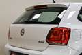 Volkswagen Polo Polo 1.2 70 CV 5p Comfortline Bianco - thumbnail 9