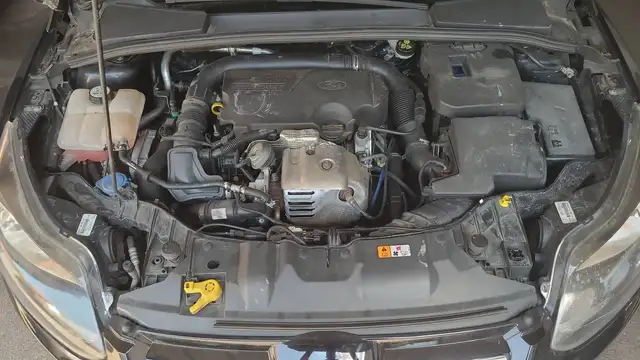 Ford Focus view 15