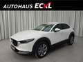 Mazda CX-30 2.5L G140PS 6MT 2WD Exclusive - Line Weiß - thumbnail 1