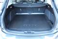 Ford Focus Vignale 2.0 Aut. VOLL*HEAD-UP*AHL*NAVI*TOTWINKEL* Grau - thumbnail 29