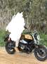 BMW R nineT option 719 Oro - thumbnail 9