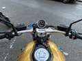 BMW R nineT option 719 Oro - thumbnail 6