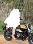 BMW R nineT option 719 Oro - thumbnail 8