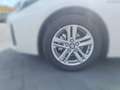 Suzuki Swace SWACE Comfort+ CVT Hybrid Weiß - thumbnail 9