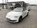 Volkswagen Beetle Cabrio 1,2 TSI Design *KETTE NEU*TOP*EL. VERDECK* Weiß - thumbnail 3