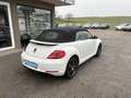 Volkswagen Beetle Cabrio 1,2 TSI Design *KETTE NEU*TOP*EL. VERDECK* Weiß - thumbnail 7