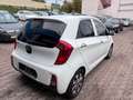 Kia Picanto Dream Team Klimaauto~LenkradHeiz~SHZ~1Hd Weiß - thumbnail 6