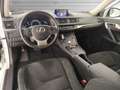 Lexus CT 200h Executive cvt E6 Blanco - thumbnail 6