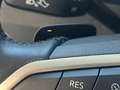 Volkswagen Tiguan 2.0TDI Life DSG 110kW Gris - thumbnail 14