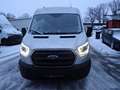Ford Transit Transit Kasten 2,0 EcoBlue L2H2 310 Trend Gris - thumbnail 2