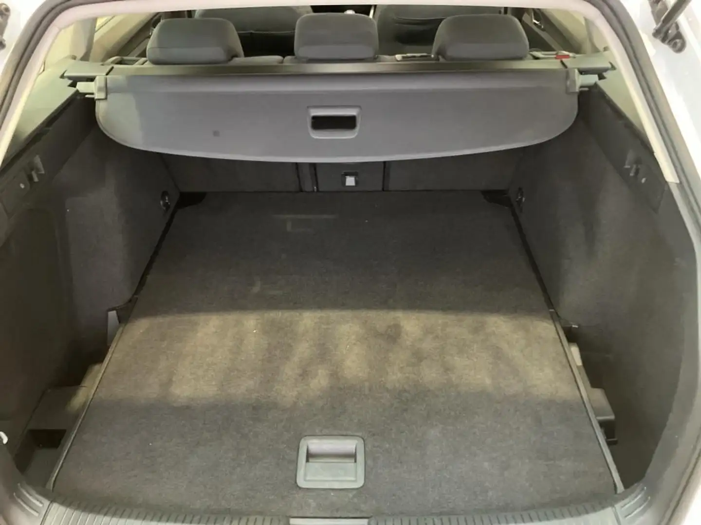 Volkswagen Golf Variant Golf VIII Variant 1.0 TSI Life FrontAssist LED D Weiß - 2